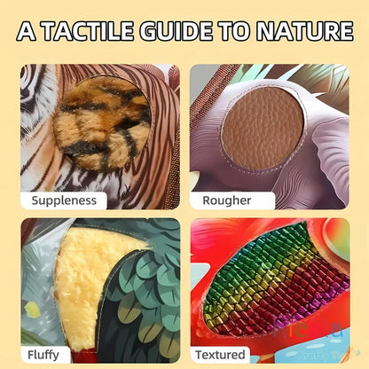 Four-panel collage showing tiger fur, elephant hide, feather, and fish-scale textures labelled for sensory learning.